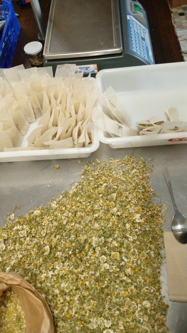 Sachet d'infusettes de Thym AB