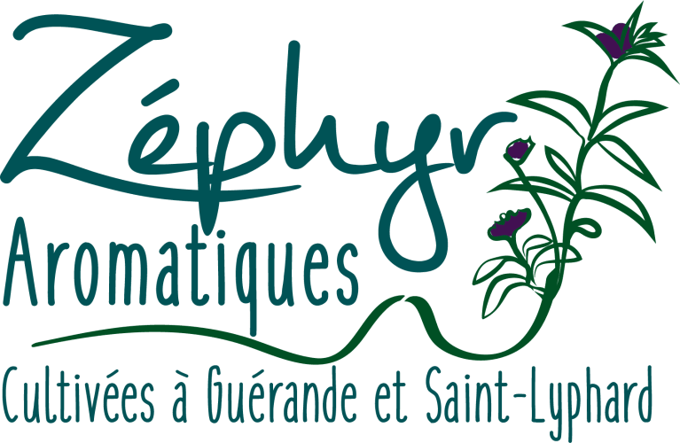 zephyraromatiques.fr