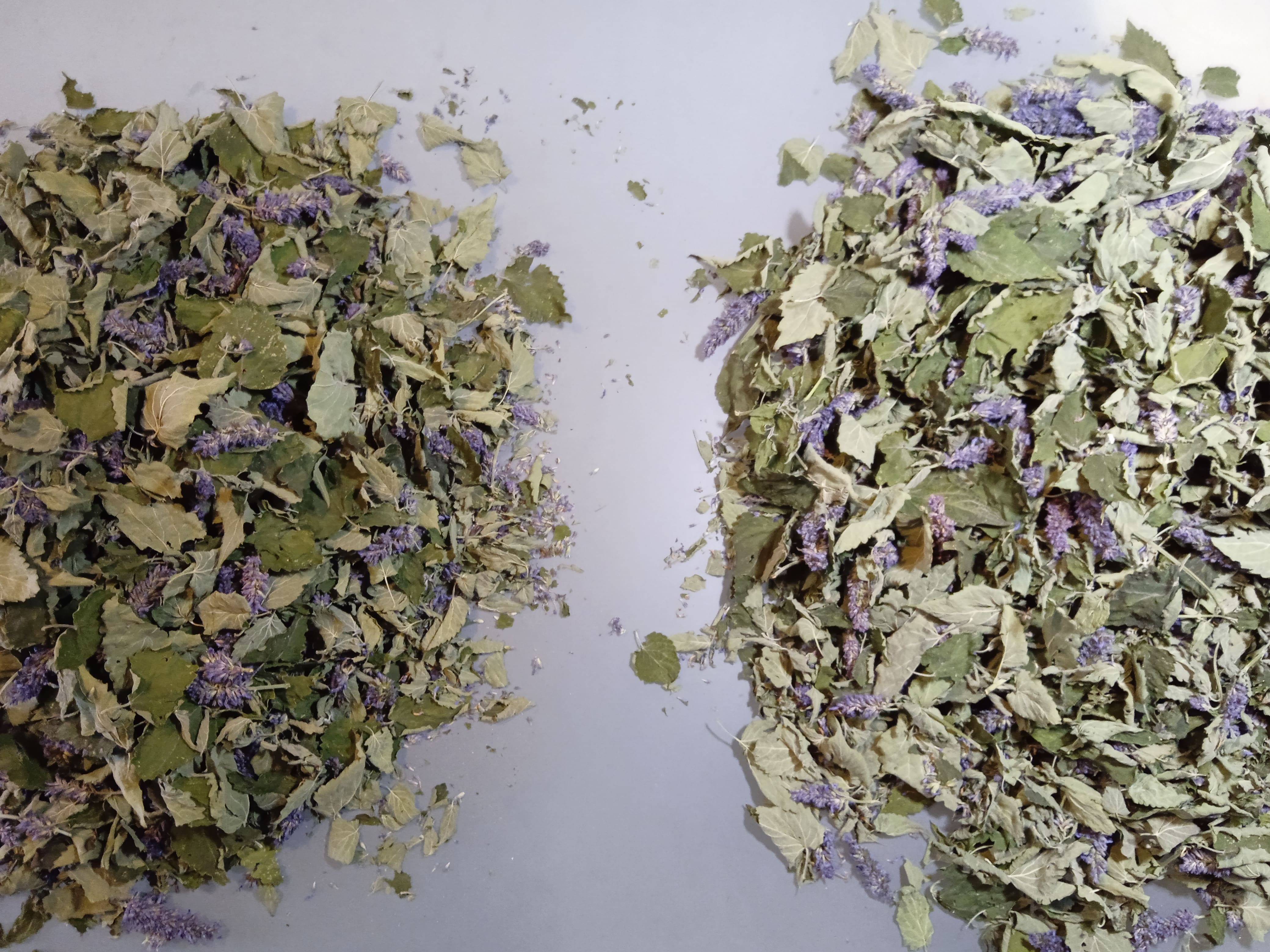 tri de l'agastache